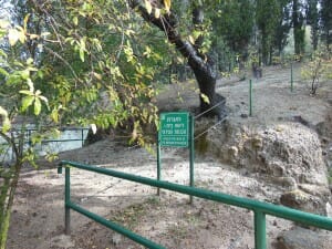 Bet She'arim National Park