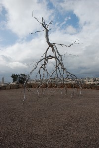 Inversion 2008