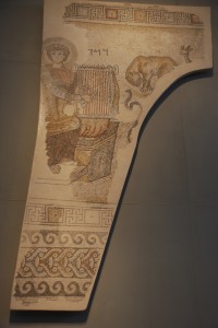 Partial Mosaic
