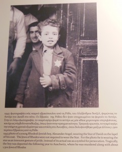 A Victim of the Holocaust