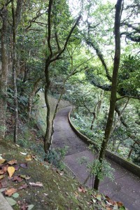 Walking Down Old Peak Road Hong Kong