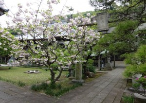 DSC01143