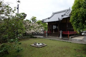 DSC01146