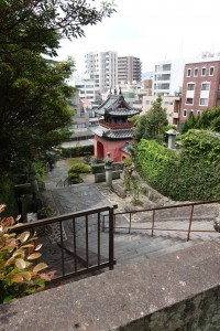 DSC01181