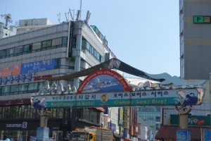 DSC01246