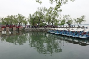 DSC01729