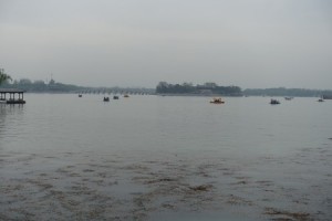 DSC01739