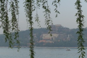 DSC01779