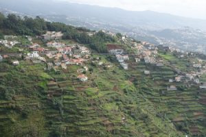 Meandering Road to Ribeira Brava