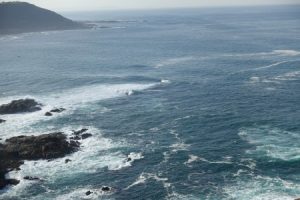 DSC00630