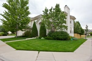 Bornstein Residence Currently on the Market