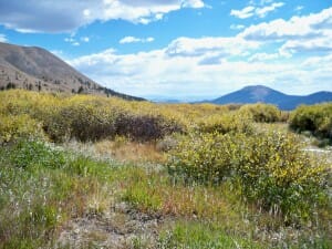 Summit County Colorado