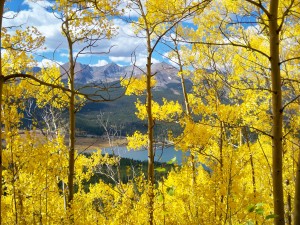 Fall Day at Boreas Pass, Breckenridge, CO