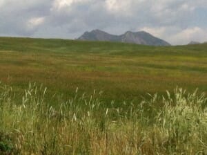 View of Rocky Flats Wildlife Sanctuary