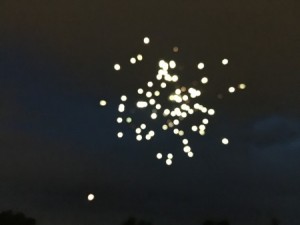 IMG_1646