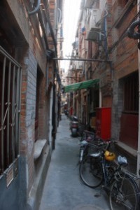 DSC_0501