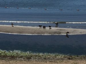Hudson Park