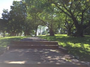 Hudson Park
