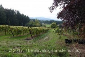 Rocky Creek Winery, Vancouver Island