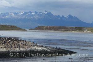 Beagle Channel near Ushuaia, Argentina