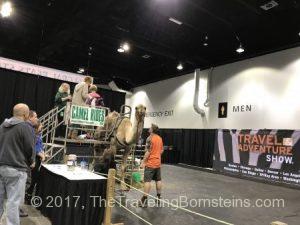 Camel Ride at Denver Travel and Adventure Show